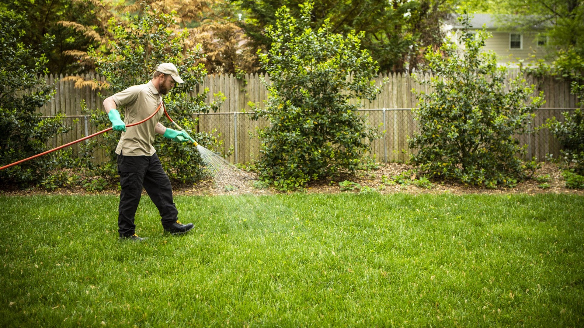 A Quick Guide to Liquid Fertilizer and Your Lawn