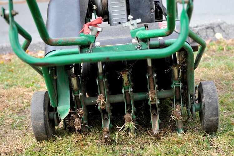 Different Types Of Lawn Aeration