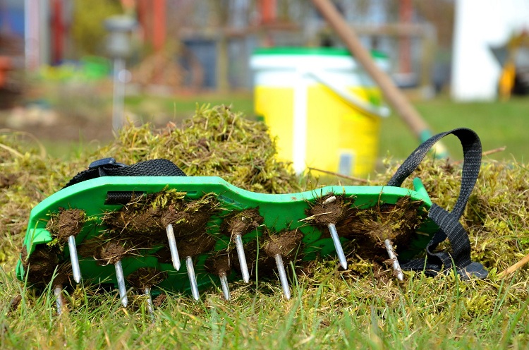 How to Prepare Your Lawn for Aeration and Seeding