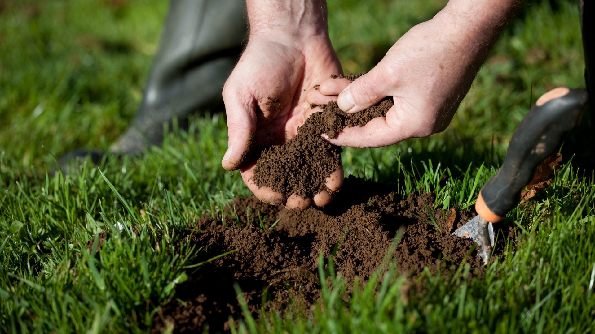 Soil Test Kit Reviews and top picks