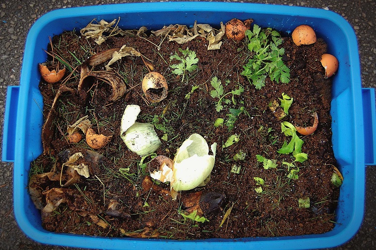Can I Use Compost on My Lawn?