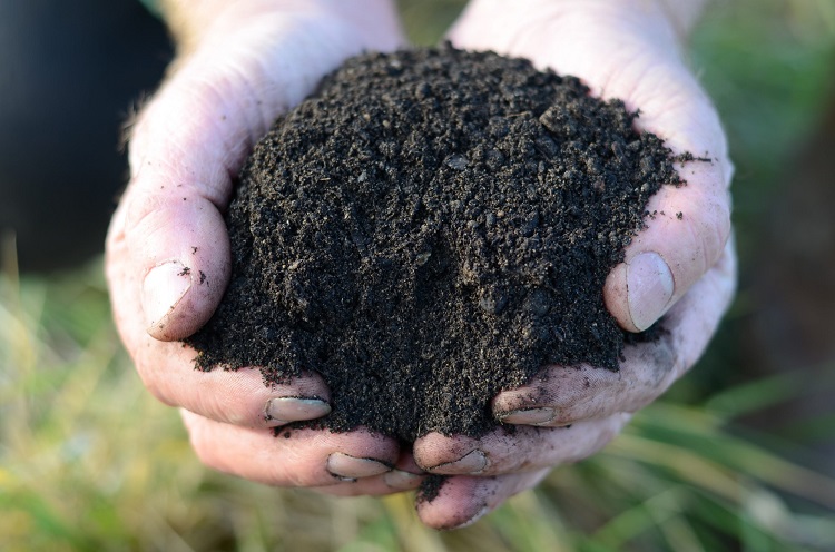 Should topsoil be black?