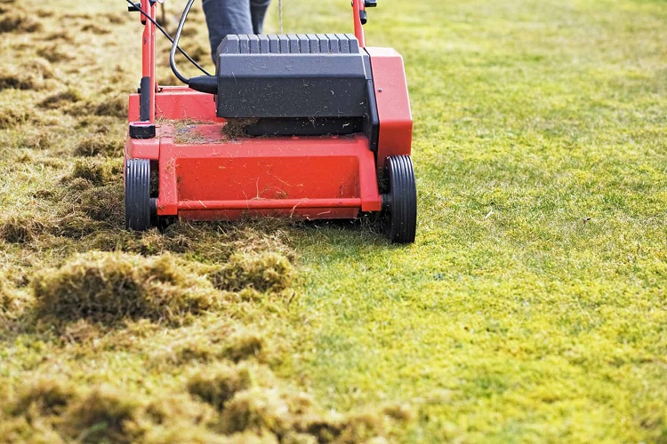 Dethatching vs Aerating Your Lawn: Which One Should You Choose? 