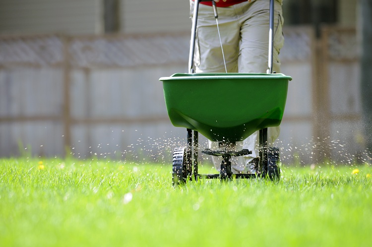 When should you fertilize your lawn?
