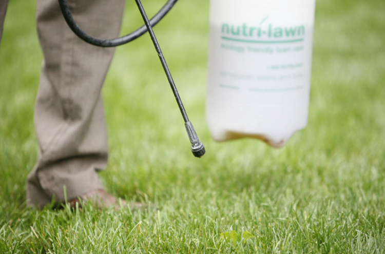 Can You Over Fertilize Your Lawn?