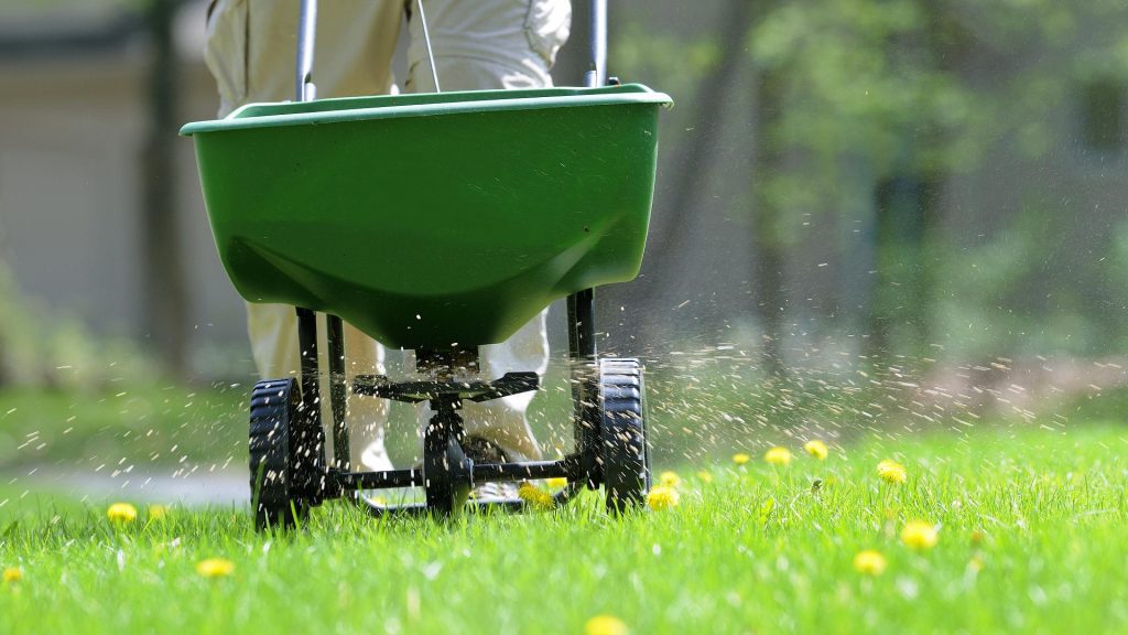 How Long Does Lawn Fertilizer Last?