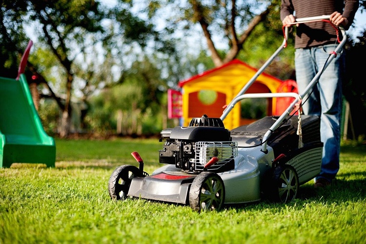 What Height Should a Lawn Mower Be Set At?