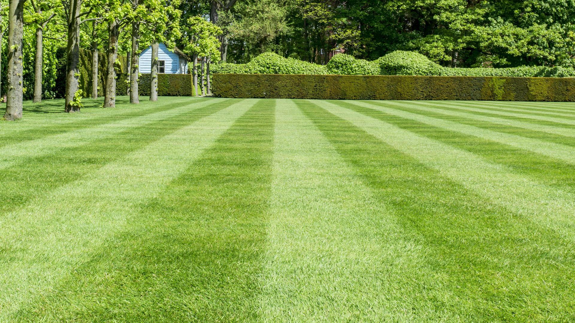 What Is Lawn Leveling?
