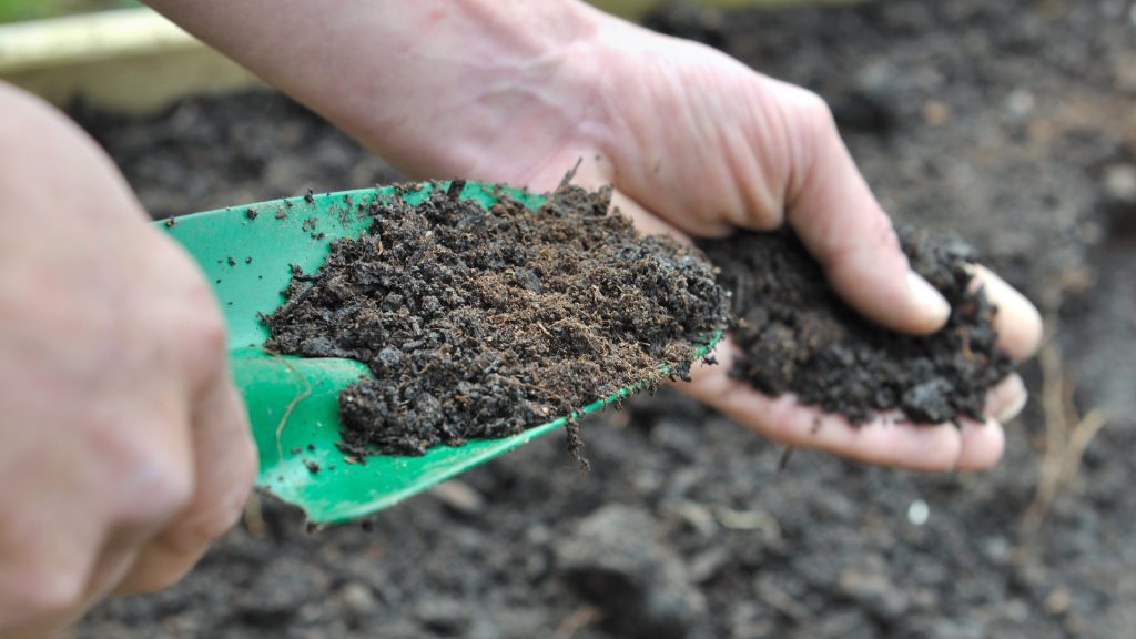 Manure for Lawns: Yay or Nay?