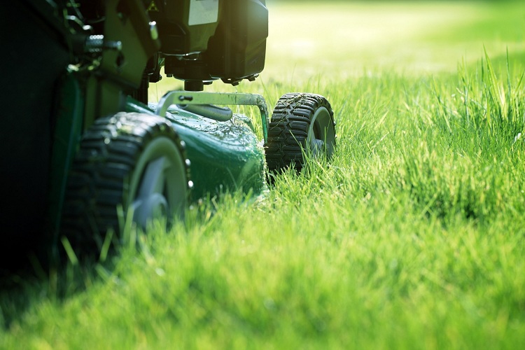When is it safe for you to mow your new grass?
