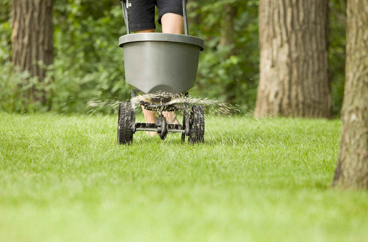 Can You Overfertilize Your Lawn?