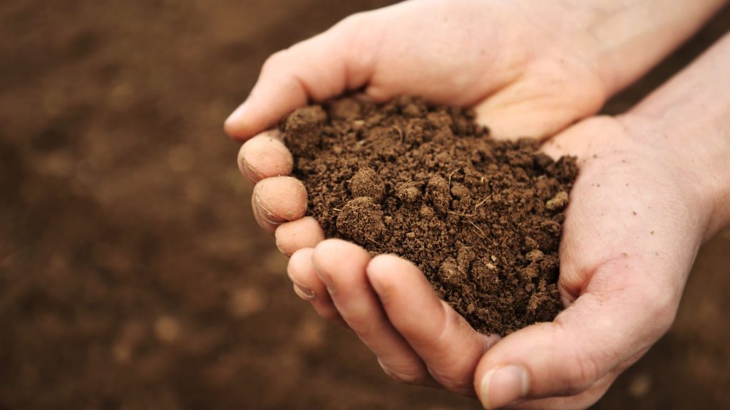 What Is Topsoil Used For?