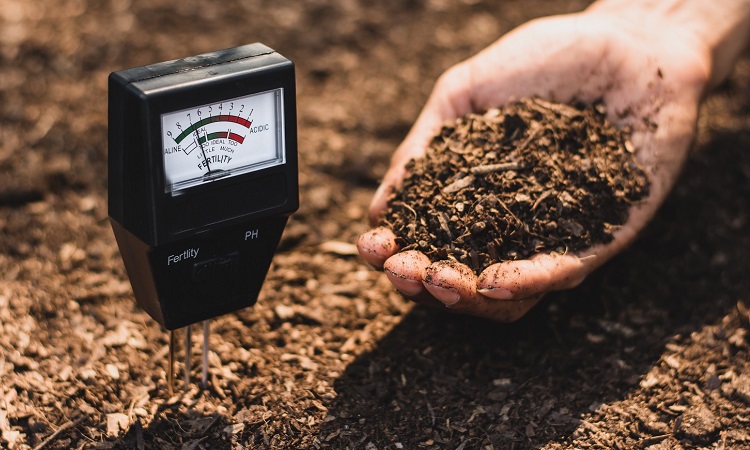 Test your soil
