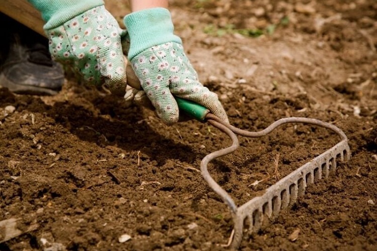 How To Kill Weeds In Soil 