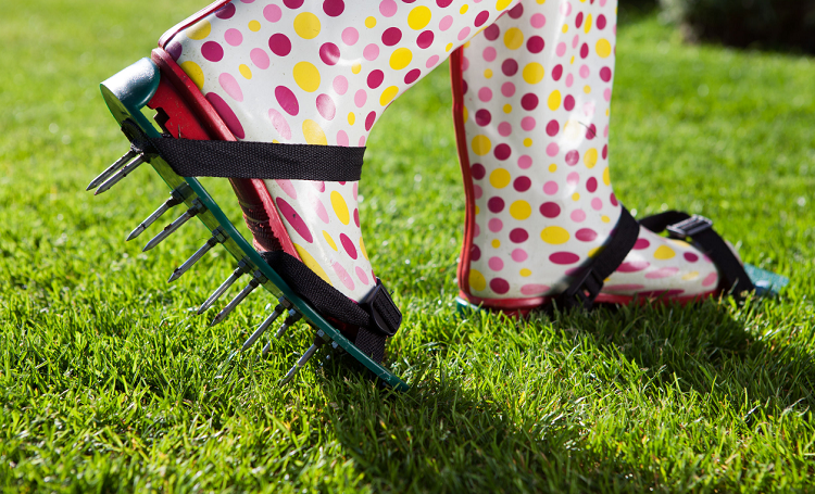 How regularly should you aerate your lawn? 