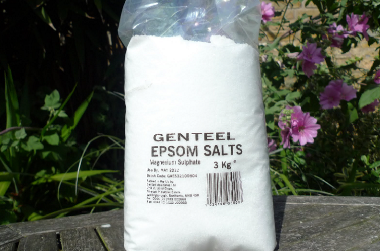 How To Remove Tree Roots With Epsom Salt 