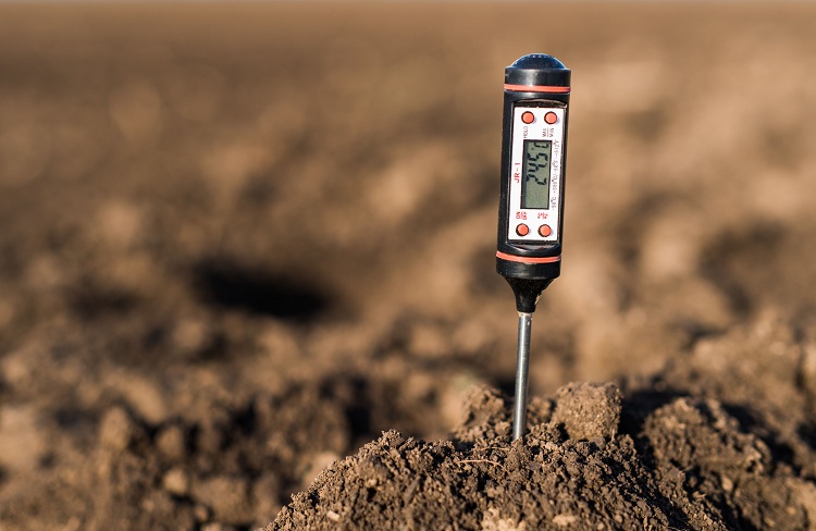 How often should you test your soil’s pH? 