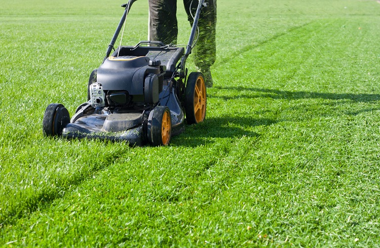 Extra Tips For Leveling Your Lawn