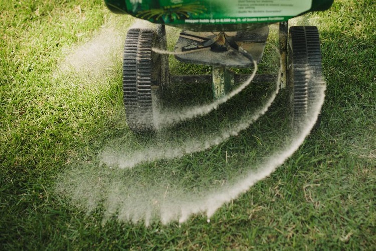 What is the Best Lawn Fertilizer Ratio for My Lawn?