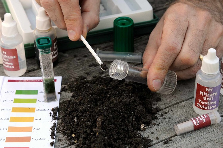 Important measurements for a soil test
