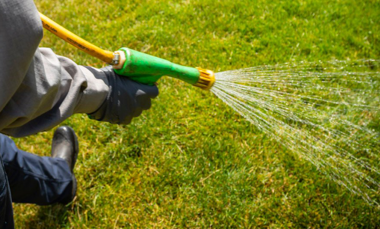 How Regularly Should You Aerate Your Lawn?