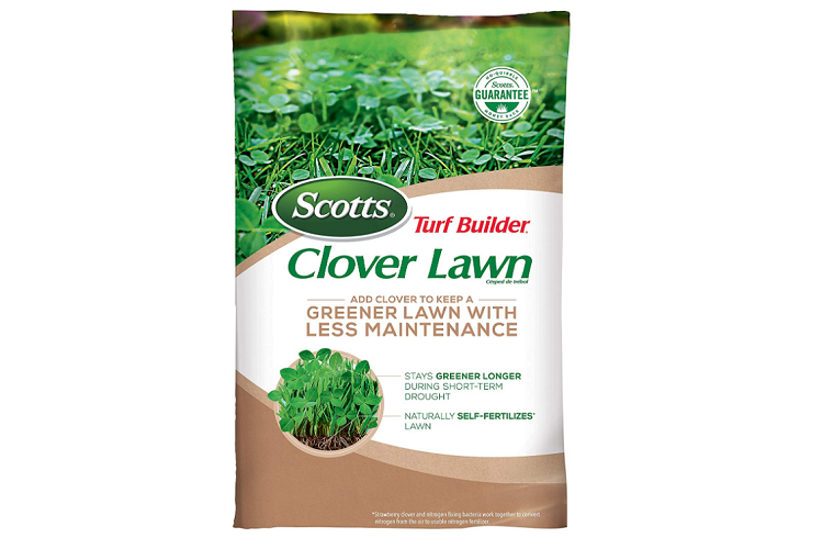 Best Overall: Scotts Turf Builder Clover Lawn
