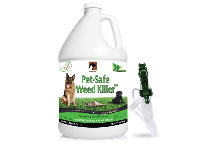 Runner Up: Just For Pets Weed Killer