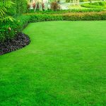 How To Green Up Your Lawn
