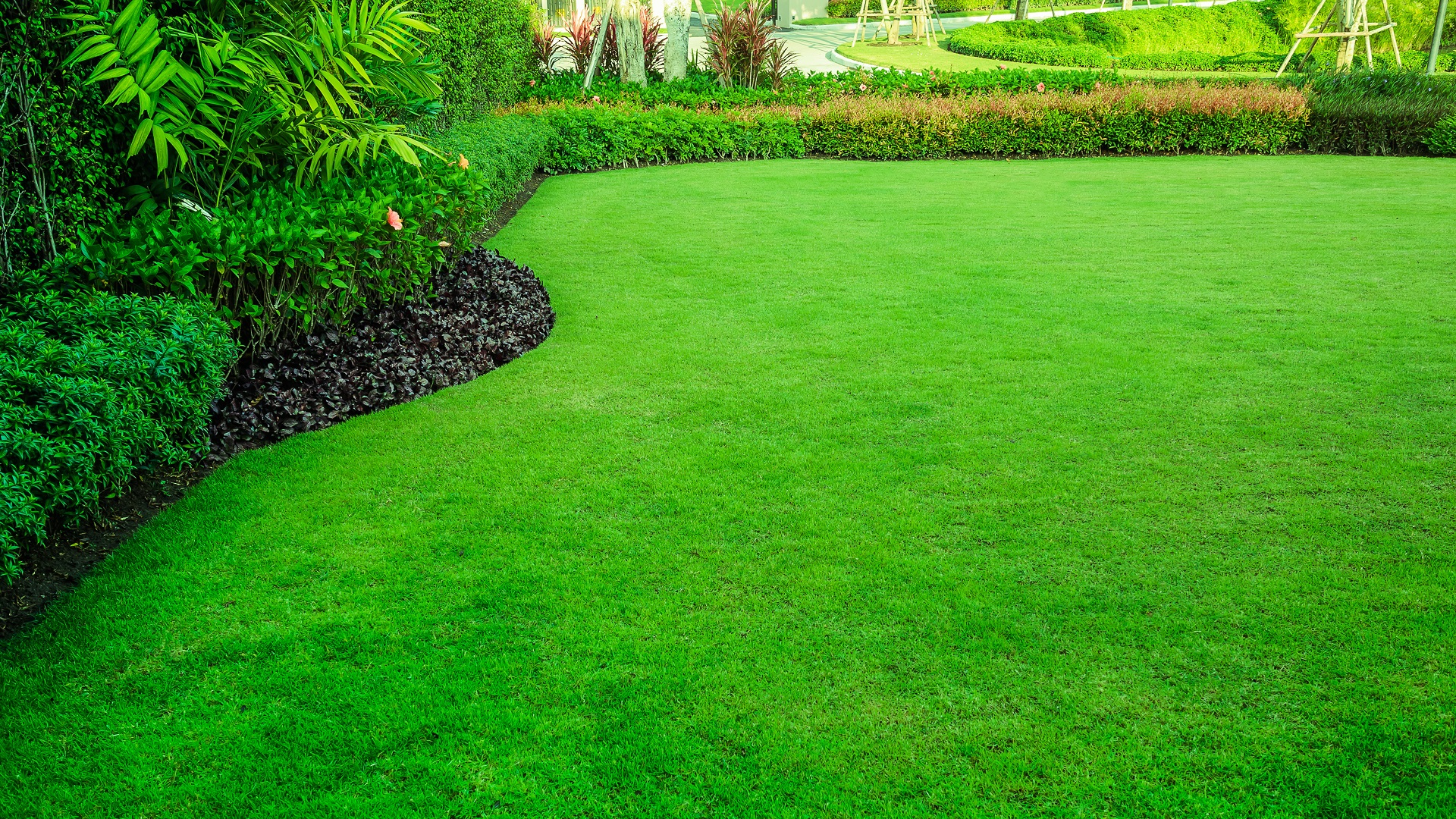 How To Green Up Your Lawn