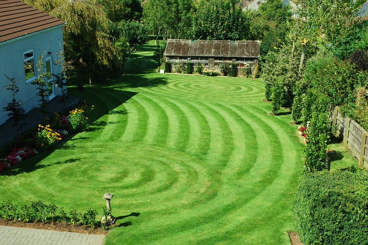 Benefits Of Lawn Mowing Patterns