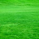What Is The Zone Of Aeration?