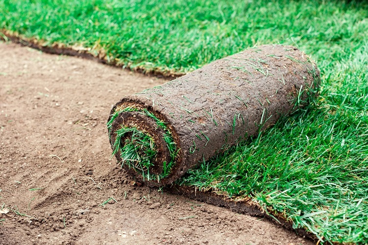 Can You Fill Bare Spots In Your Lawn With Sod? 
