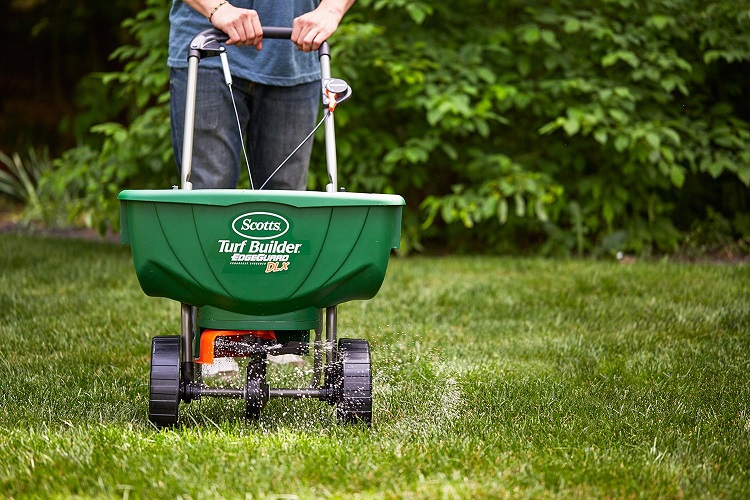 Extra Tips For Reseeding A Patchy Lawn 